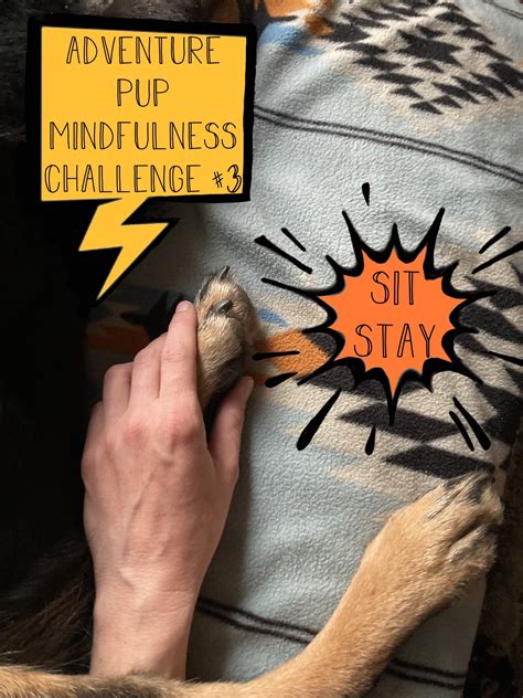 Adventure Pup Mindfulness Challenge #3 – Adventure Pup