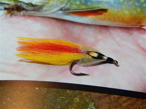Small Stream Reflections Flies From Other Fly Tyers Part Two