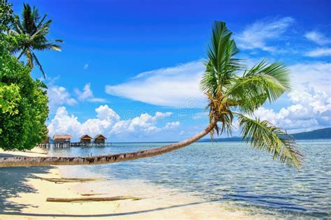 Beautiful Summer Scene The Beach With Palm Trees And Water Bungalows