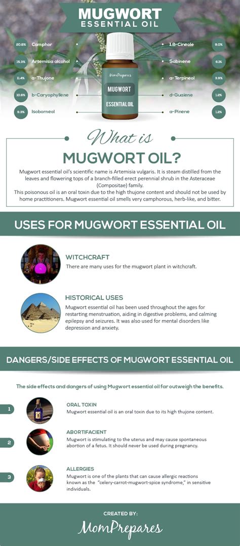 Dermoscent Essential 6 Side Effects - Mugwort Essential Oil - The Complete Uses, Benefits, and Dangers Guide