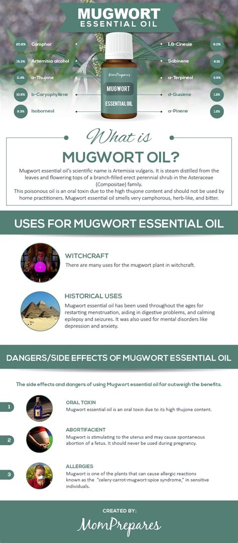 Find 14 of ratings user reviews and ratings for mugwort on webmd including side effects, effectiveness, ease of use and satisfaction. Mugwort Essential Oil - The Complete Uses, Benefits, and ...