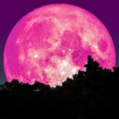 It is expected to appear bigger and shine brighter than the april moon, according to forecasters. Super Pink Moon Coming In April - Here's How To See It