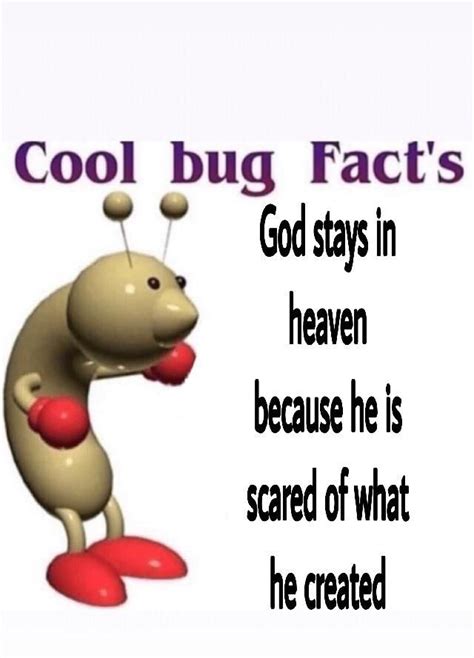 Cool Bug Facts Cool Bugs Facts Haha Funny