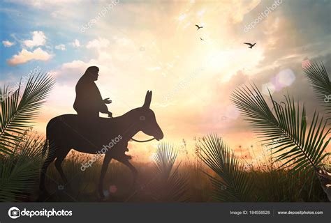 Palm Sunday Concept Jesus Christ Riding Donkey Meadow Sunset Background