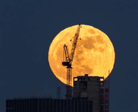 Four supermoons will be gracing the night sky in 2021. See it! New Year's supermoon | Human World | EarthSky