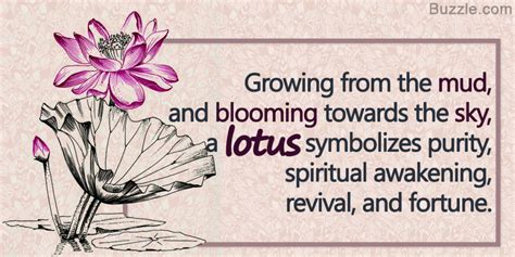 Check spelling or type a new query. What Does a Lotus Flower Tattoo Symbolize? We Have the ...