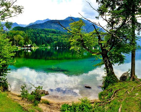 Slovenia Landscape Bohinj Lake Nature Forest Coast Trees Reflection