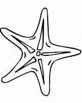 Starfish Coloring Outline Fish Drawing Tiny Clipart Line Clip Simple Printable Easy Template Animals Cliparts Cute Clipartmag Getdrawings Library Presentations sketch template