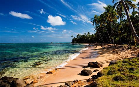 Oled 6,4, 3.120 x 1.440 px, 538 ppp, 19,5:9: Fondos de pantalla Tropical, playa, mar, palmeras, piedras ...