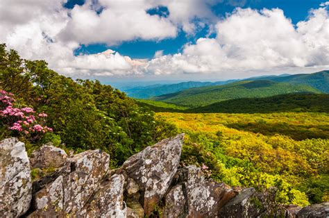 15 Best National Parks In Virginia To Explore Southern Trippers