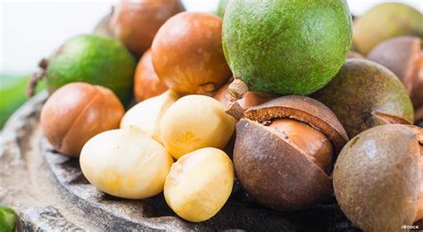 From chocolates to pancake mix, we've got you covered. Macadamia Nuts: Facts and Figures about Macadamia Nuts