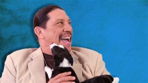 Maybe you would like to learn more about one of these? Danny Trejo Gets Surprised With Puppies - YouTube