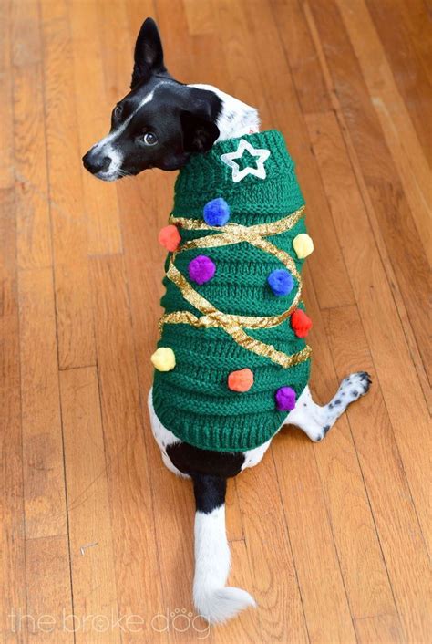 Diy Christmas Tree Sweater For Your Dog The Broke Dog Dog Christmas