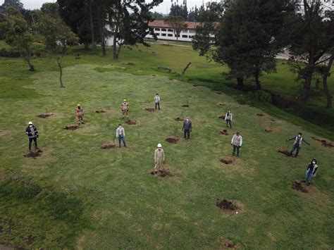 Van 40000 Árboles Sembrados En El Norte De BogotÁ Con Proyecto De La