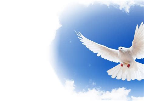 Holy Spirit Wallpapers Top Free Holy Spirit Backgrounds Wallpaperaccess