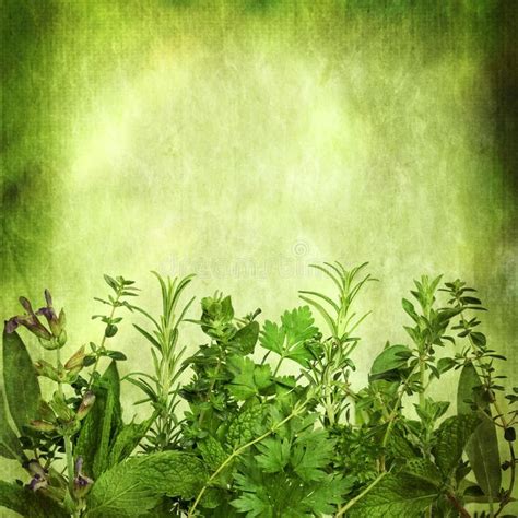 Details 100 Nature Herbal Background Abzlocalmx