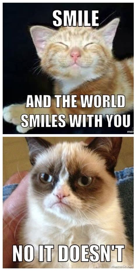 Grumpycat Meme For More Grumpy Cat Stuff Ts And Meme Visit