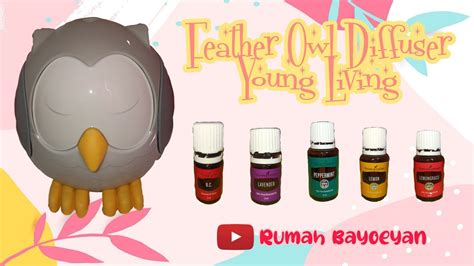 Say hello to our cutest essential oil diffuser yet: FEATHER OWL DIFFUSER YOUNG LIVING | CARA MENGGUNAKAN DAN ...