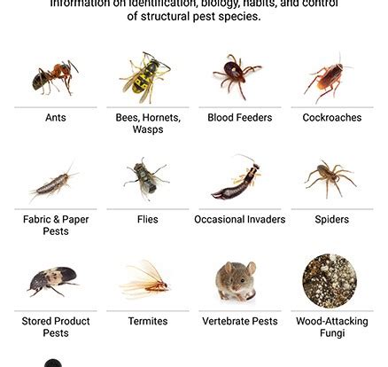 Explanation of the abbreviation factors: Pest ID App Benefits Technicians and Plants - Quality ...