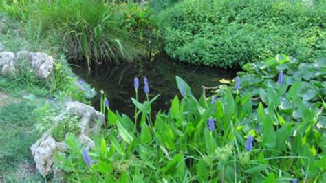 Mill Creek Park Eco Pond Fountain Kc Parks And Rec