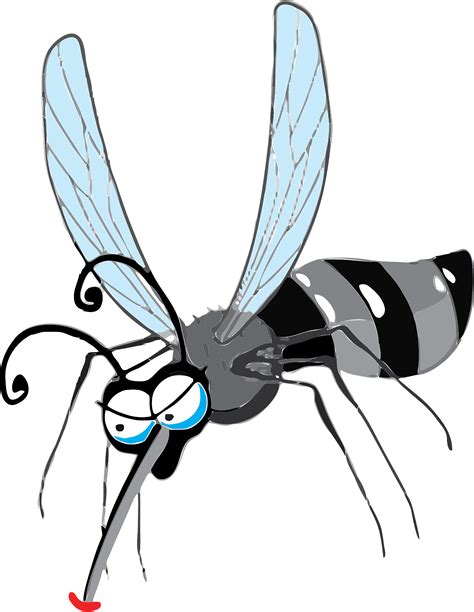 Mosquito Clip Art Fly Vector Images Over 360 Clip Art Library