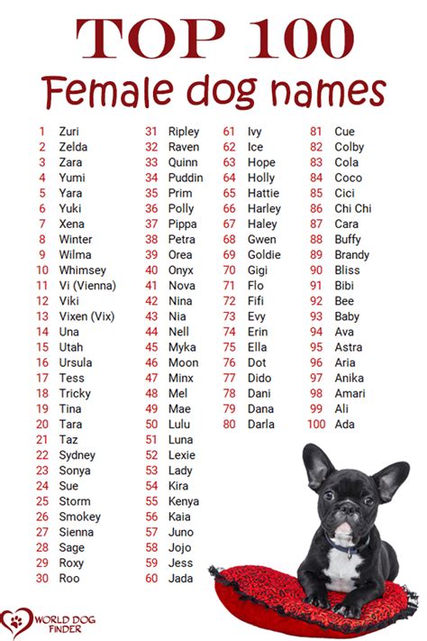 Female Dog Names and How to Choose One