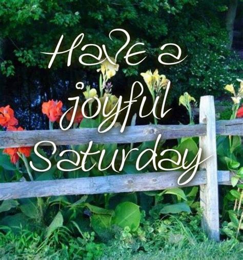 Have A Joyful Saturday Pictures Photos And Images For Facebook