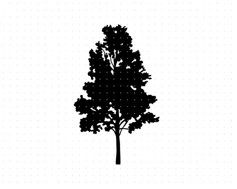 Aspen Tree Silhouette Vector