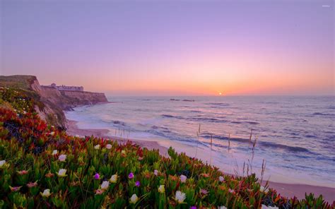 Details Of Sunset Above A Coast Filled With Colorful Flowers Wallpaper