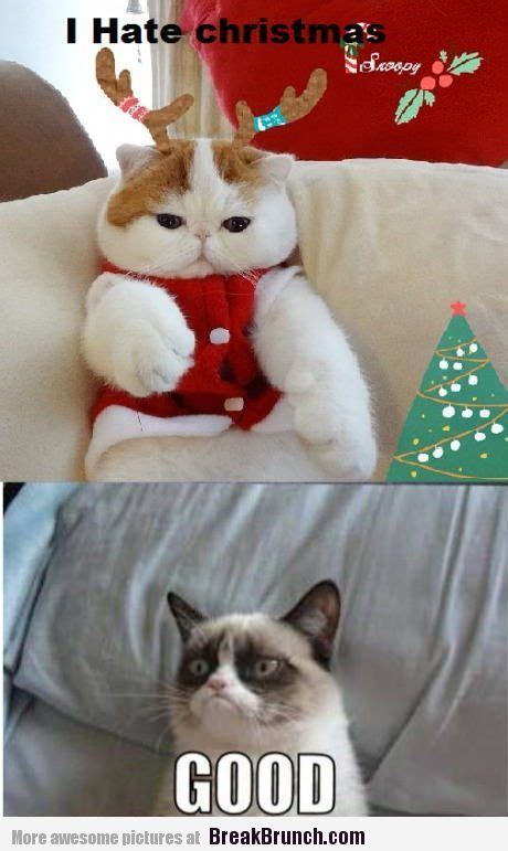Lol Grumpy Cat Christmas Memes Funny Snoopy Cat