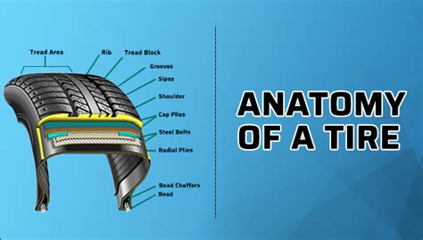 Different Parts Of A Tire
