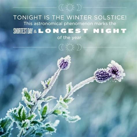 Pin By Cyndy Simons On December Winter Solstice Winter Solstice