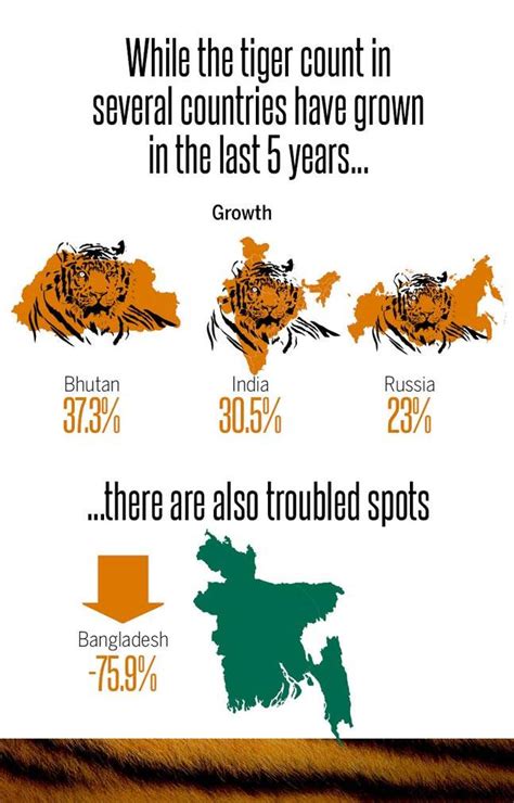 Tiger Population Is Rising But Will It Get Doubled By 2022 India Today
