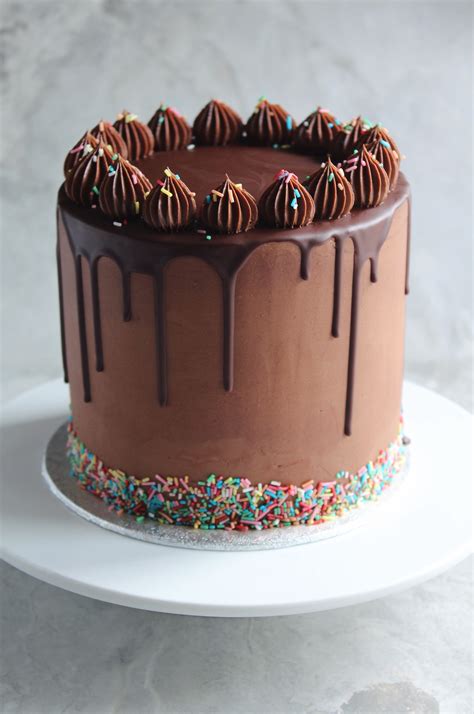 Chocolate Sprinkle Birthday Cake Aria Art