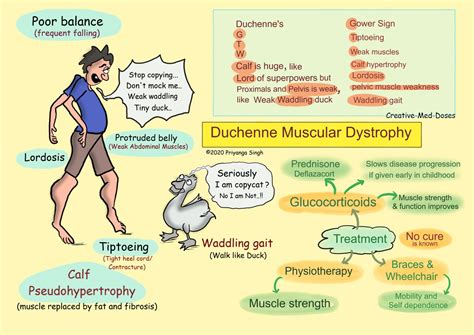 Duchenne Muscular Dystrophy Illustrations Creative Med Doses