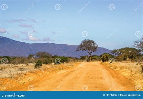 Safari Road In Kenya Stock Image Image Of Dust Safari 144747809