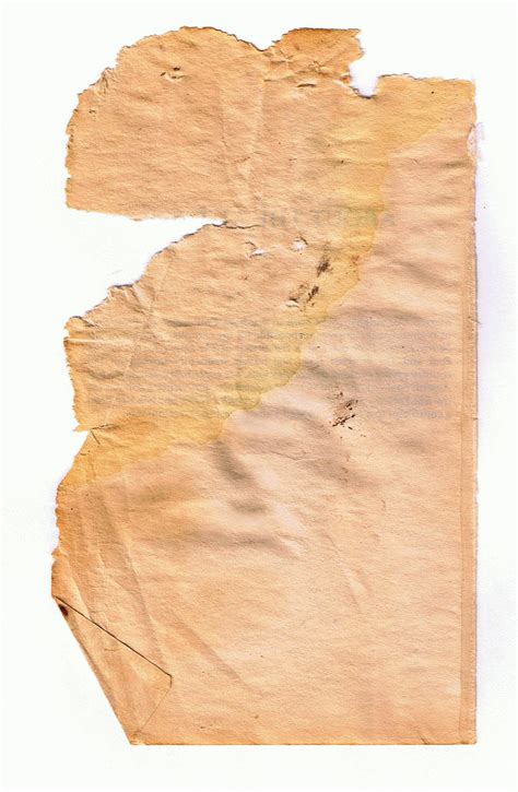 Ripped Paper Texture