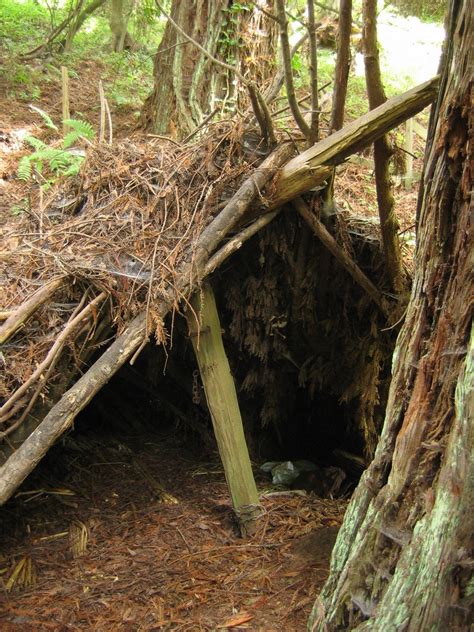Choosing The Best Survival Shelter Designs When You Need Them Most