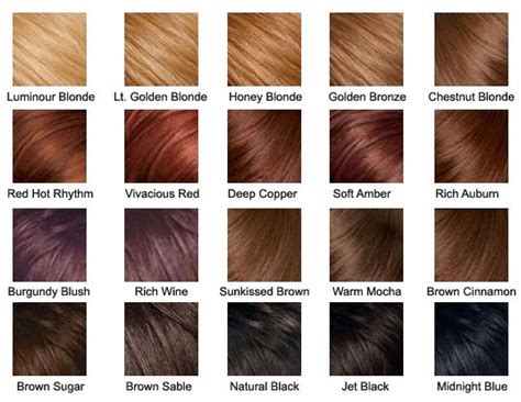 Brown Color Palette Hair Tomi Alarcon