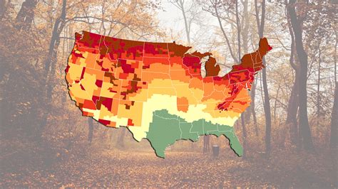 Take The Best Photos This Fall With The Fall Foliage Prediction Map For