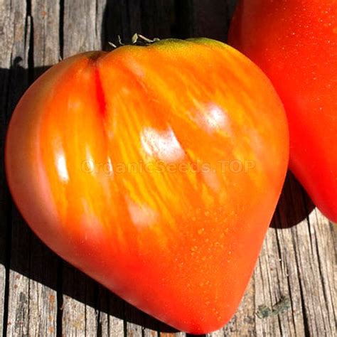 Oxheart Striped Organic Tomato Seeds Shipping Is Free For Orders