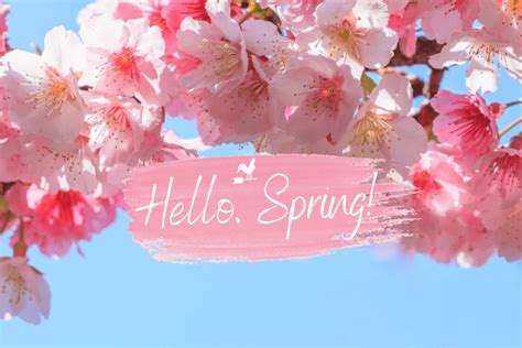 First Day Of Spring Day 2024 - Layne Myranda