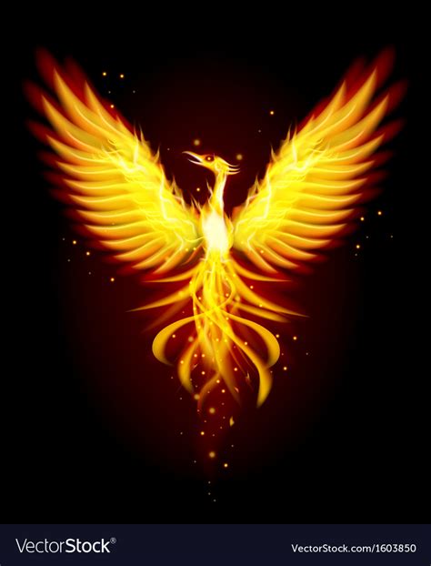 Paris, san fran, london, chicago, nyc & hundreds more! Phoenix bird Royalty Free Vector Image - VectorStock