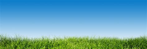 Green Grass On Blue Clear Sky Spring Nature Theme Panorama Richmond