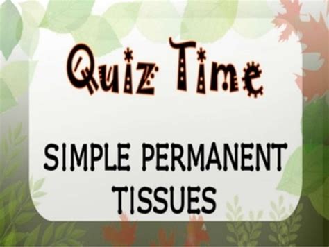Quiz Time Simple Permanent Tissues Biology Science By Letstute