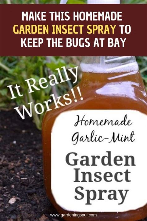 Make This Homemade Garden Insect Spray To Keep The Bugs At Bay
