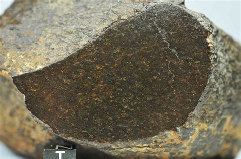Meteorite Textures Collecting Meteorites