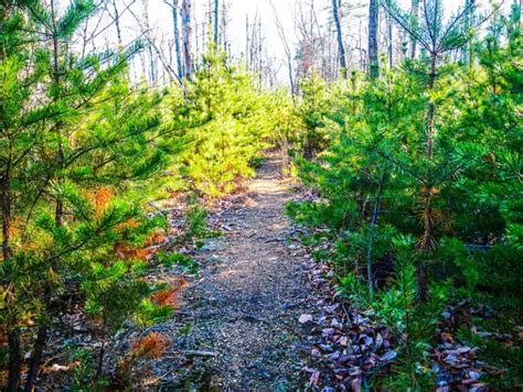 Great Backpacking Routes At South Mountains State Park Nc