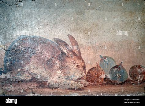 Still Life Wall Painting Or Fresco Of A Rabbit Nibbling Figs From A