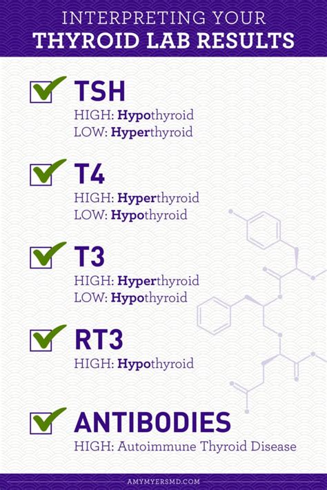 Optimal Thyroid Levels Decoding Test Results Amy Myers MD
